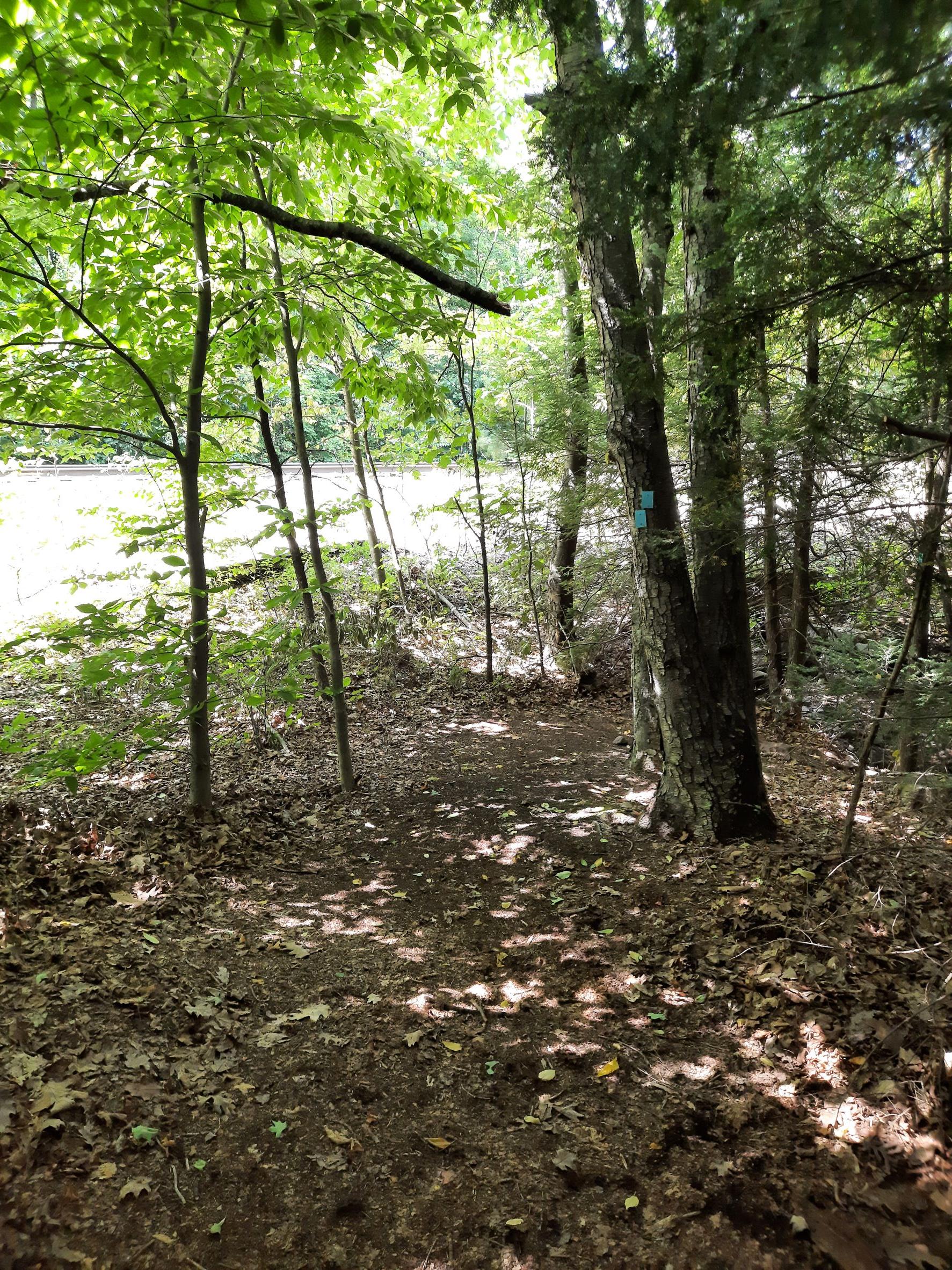 Long Path Shin Hollow Railroad