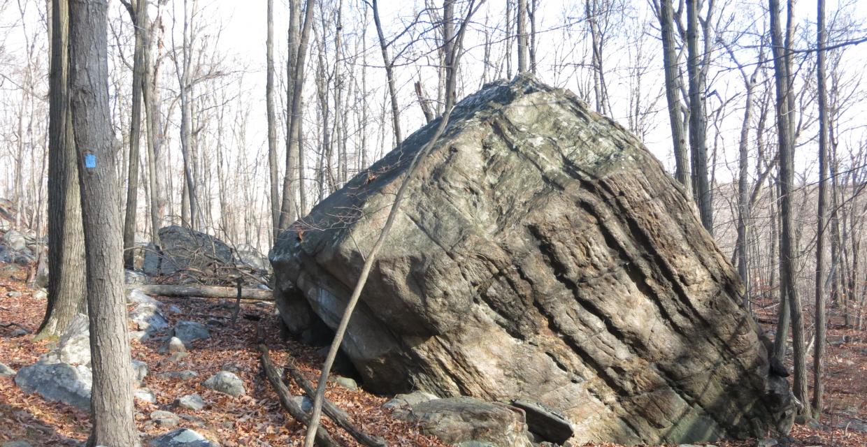 Split Rock Loop/Four Birds Trail Short Loop - Farny State Park - Photo: Daniel Chazin