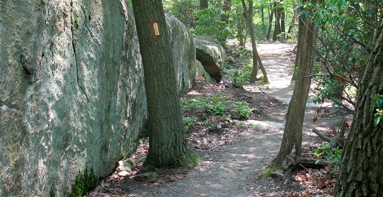 Along the trail Bear Mountain Summit Loop - Harriman-Bear Mountain State Parks