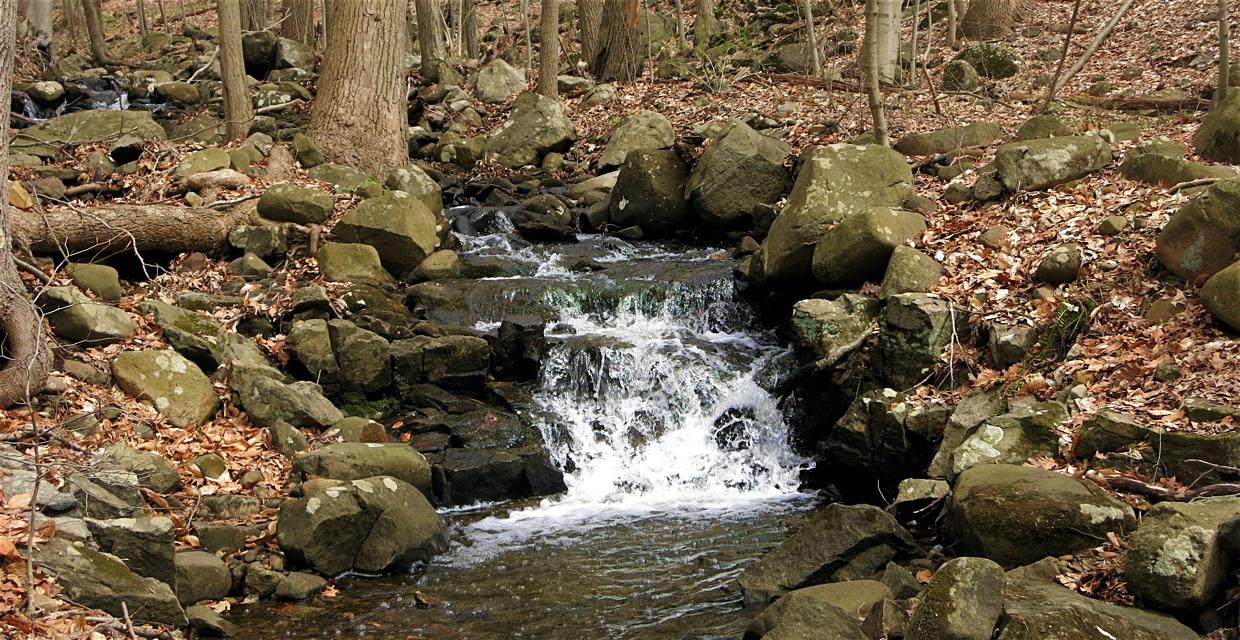 Cascade in Roaring Brook - Photo by Daniel Chazin.