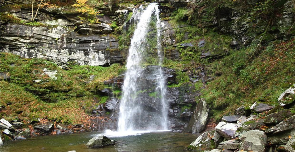 View of Plattekill Falls - Catskill Park - Photo credit: Daniela Wagstaff