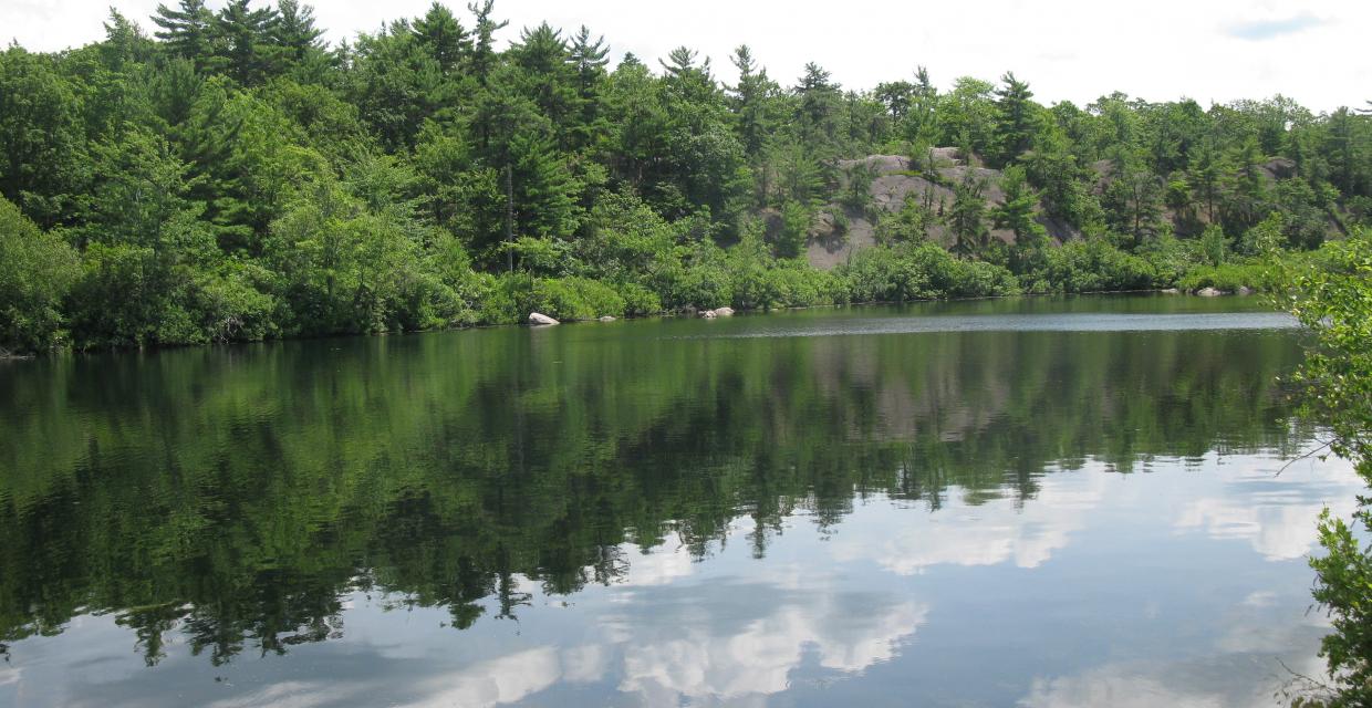 View of Terrace Pond - Wawayanda State Park - Photo credit: Daniel Chazin