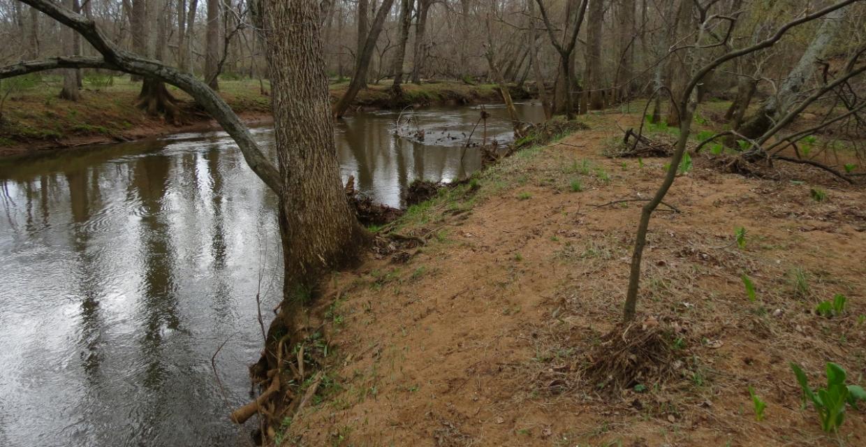 Along the Manasquan River - Allaire State Park North - Photo credit: Daniela Wagstaff