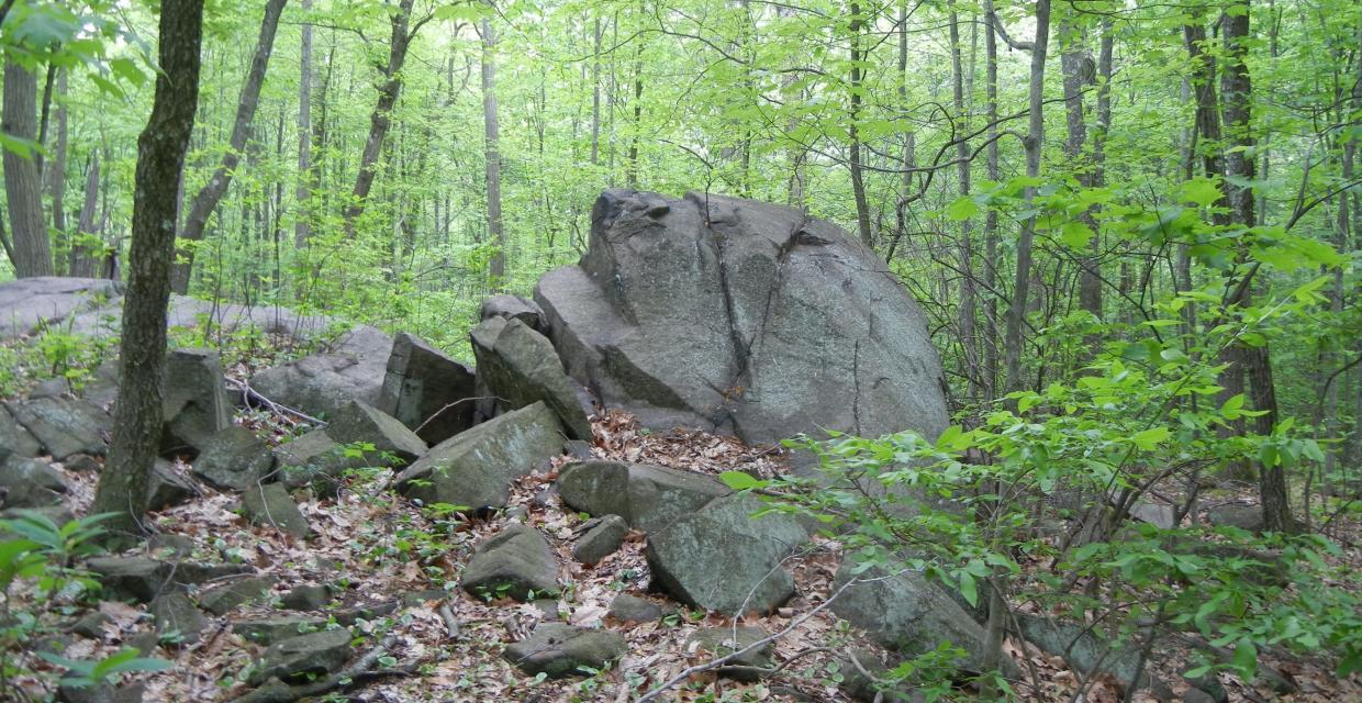 Large Rock Den - Tenafly Nature Center - Photo credit: Trail Conference