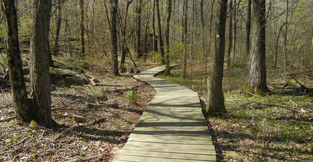 Boardwalk Along the De Filippi Trail - Tenafly Nature Center - Photo credit: Trail Conference