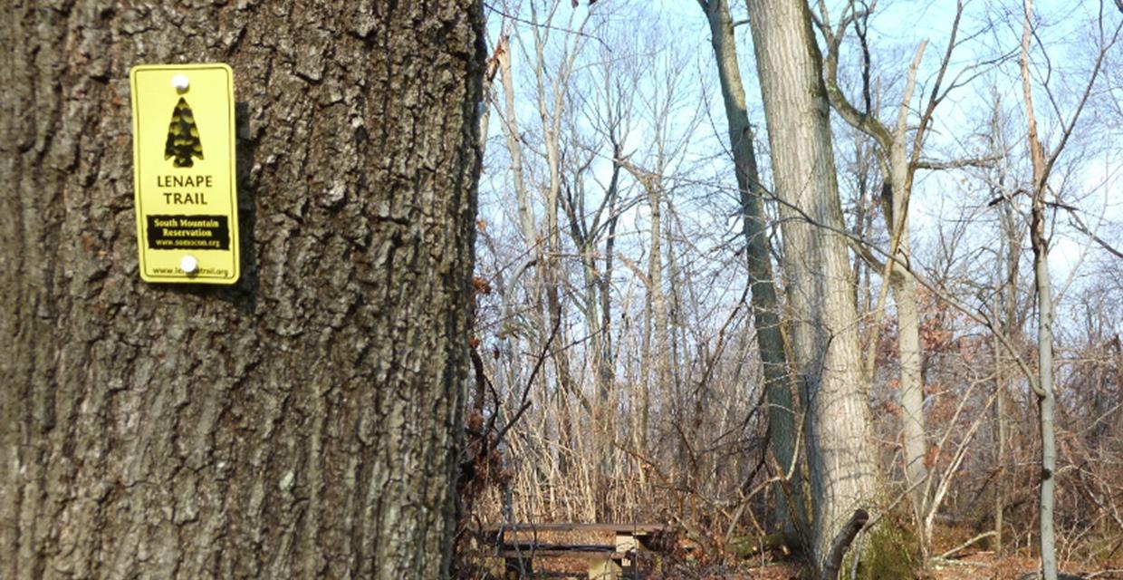 Along the Lenape Trail - South Mountain Reservation - Photo credit: Daniela Wagstaff