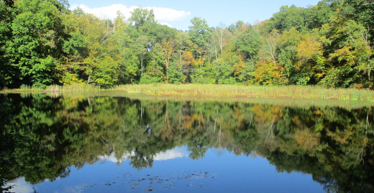 Glasmere Pond - Photo by Daniel Chazin