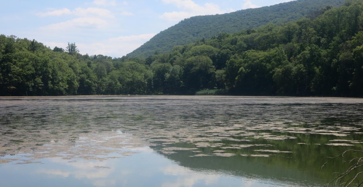 Brooks Lake, with Bear Mountain in the background