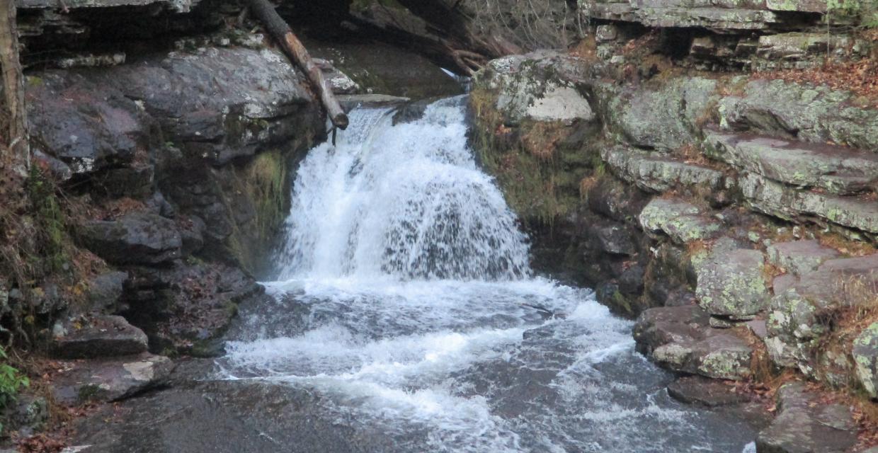 Waterfall in Van Campens Glen - Photo by Daniel Chazin