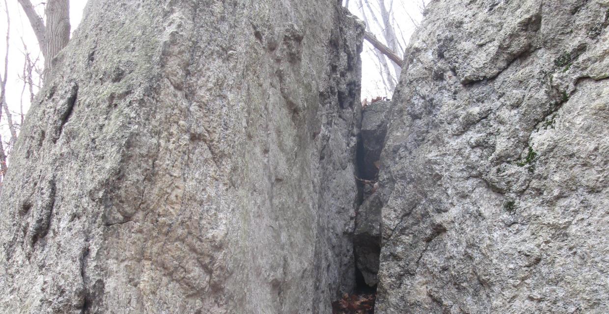 Split gneiss rock - Photo by Daniel Chazin