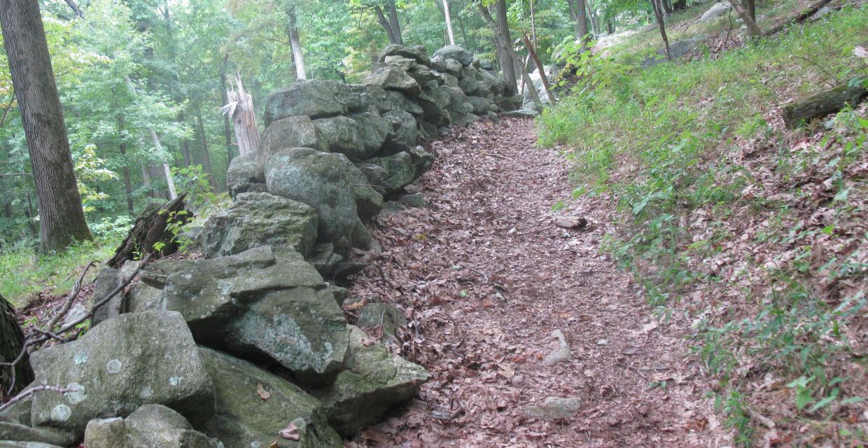 Along the Osborn Loop Trail - Photo by Daniel Chazin