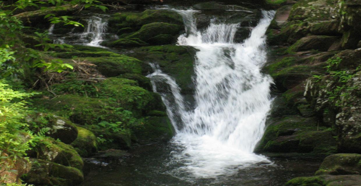 Waterfall in Van Campens Glen - Photo by Daniel Chazin