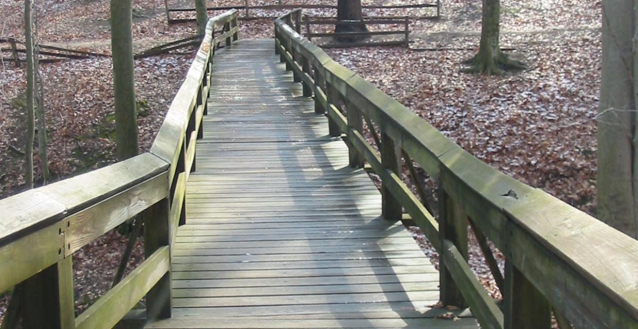 Wooden bridge across a stream - Photo by Daniel Chazin