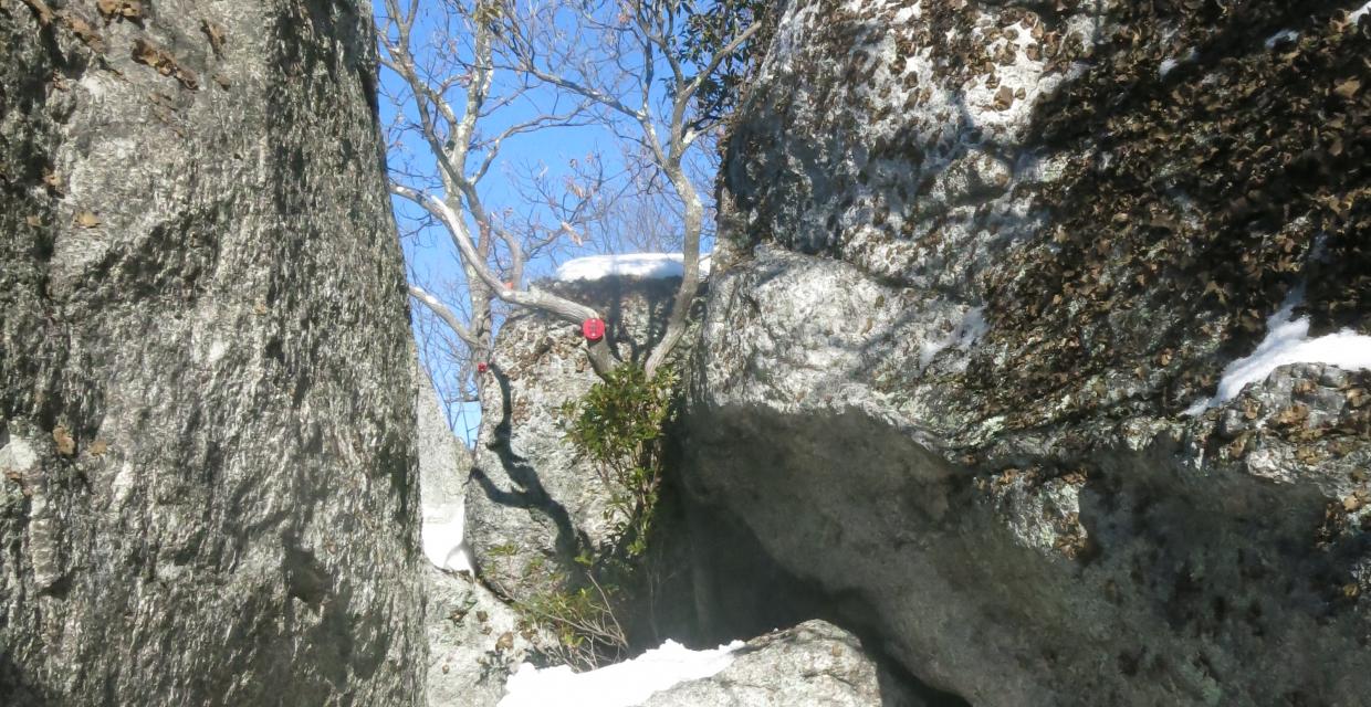 Narrow passage on the Catfish Loop Trail - Photo by Daniel Chazin