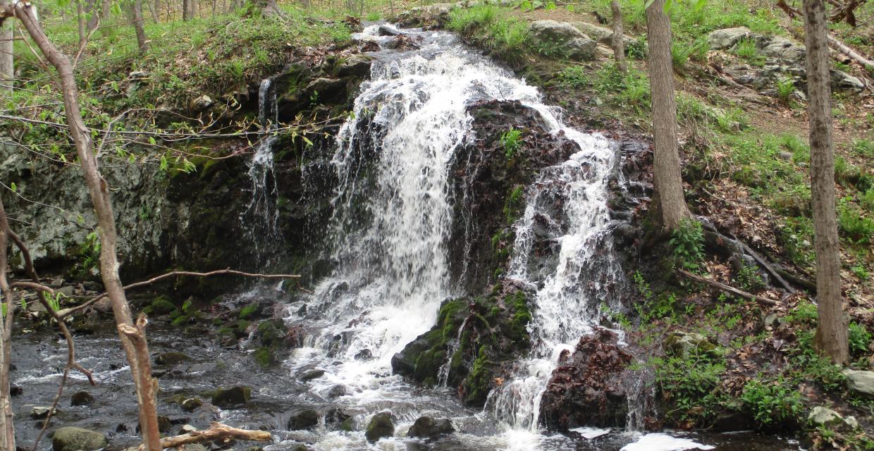 Waterfall along the Yellow Trail - Photo by Daniel Chazin