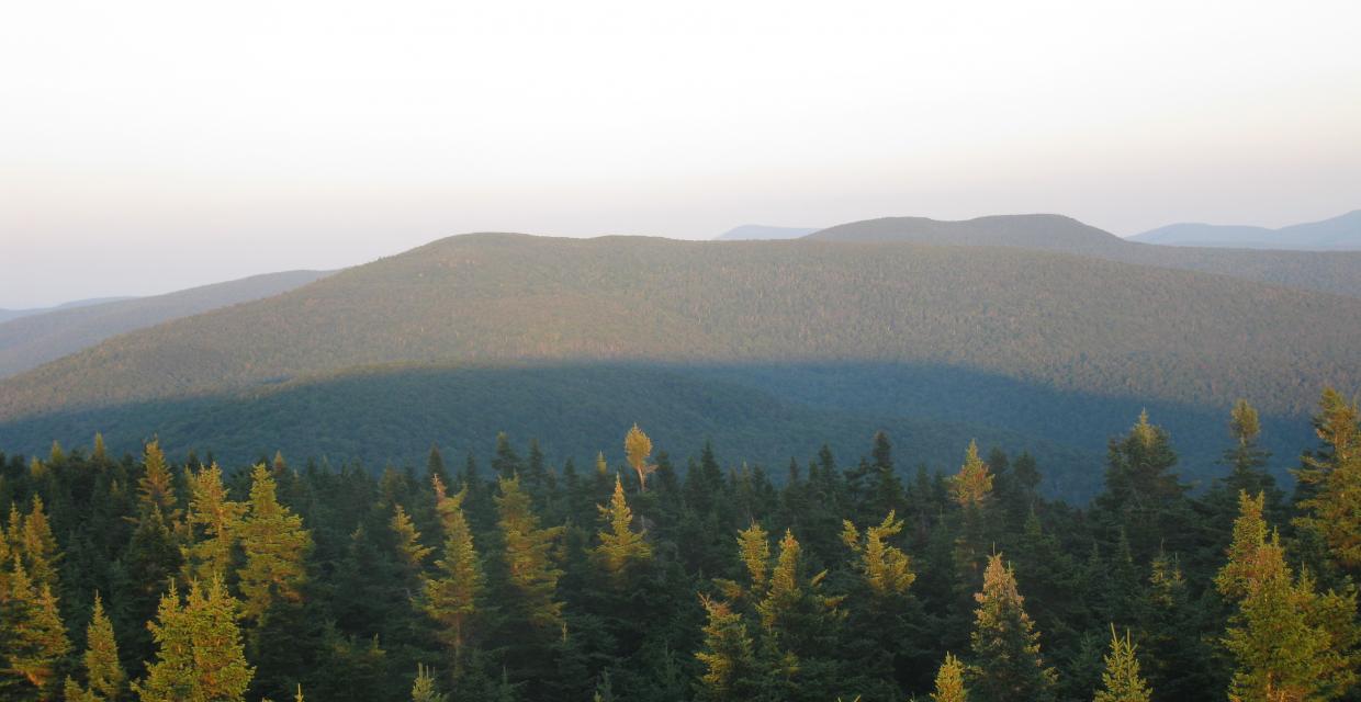 View from the Balsam Lake Fire Tower, Central Catskills Region - Photo by Daniel Chazin