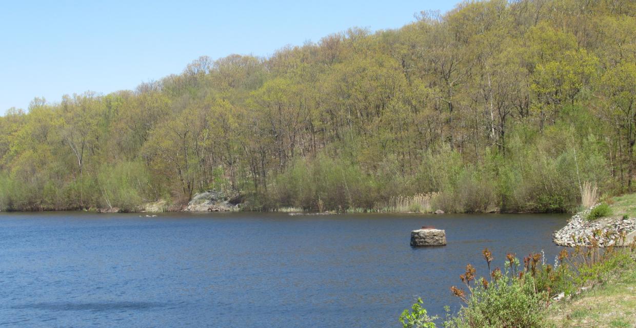 Butler Reservoir - Photo by Daniel Chazin