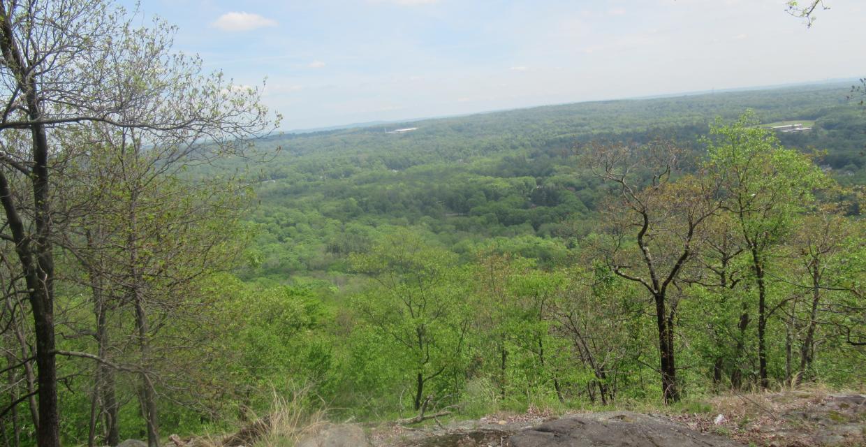 View from the Mountain Trail - Photo by Daniel Chazin