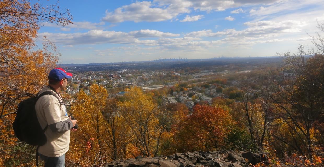 East-facing view from the Yellow Trail - Photo by Daniel Chazin