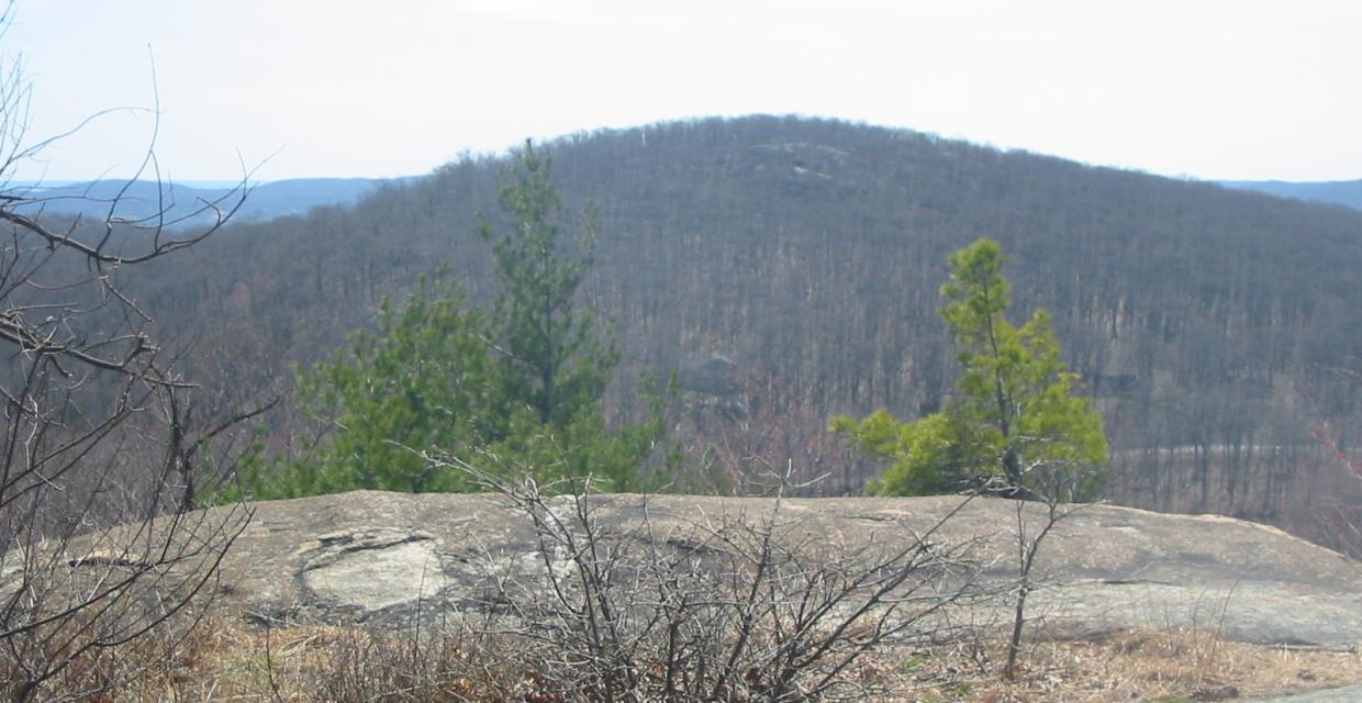 View from Buck Mountain - Photo by Daniel Chazin