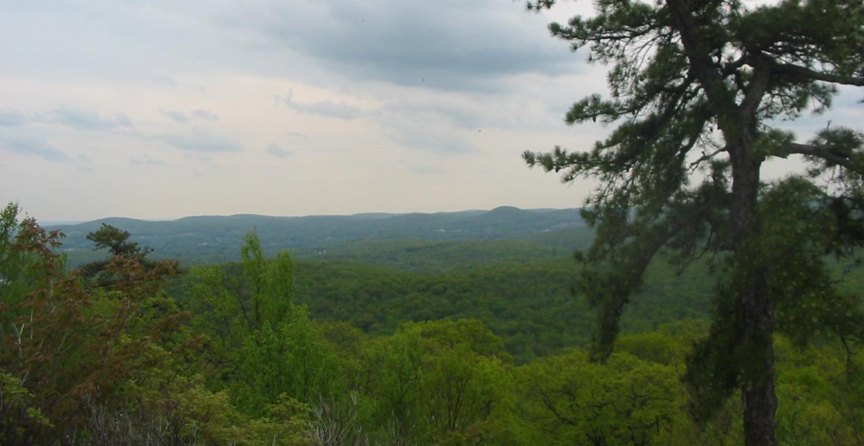 View from Carris Hill - Photo by Daniel Chazin