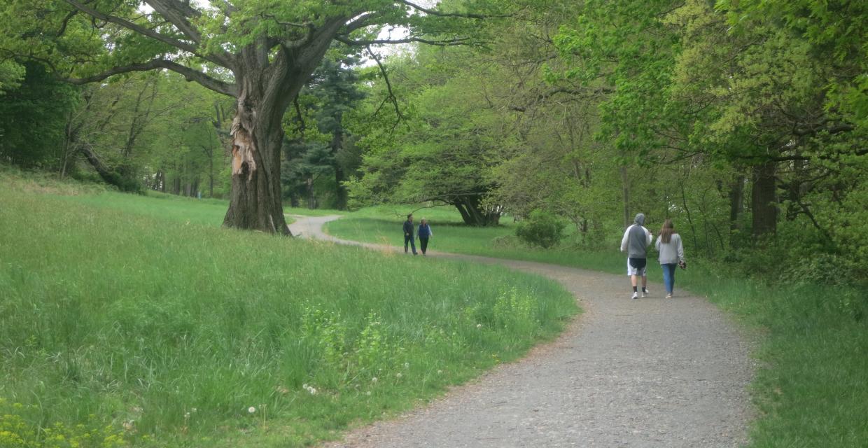 Hikers along the Lower Trail at Rockwood Hall - Photo by Daniel Chazin