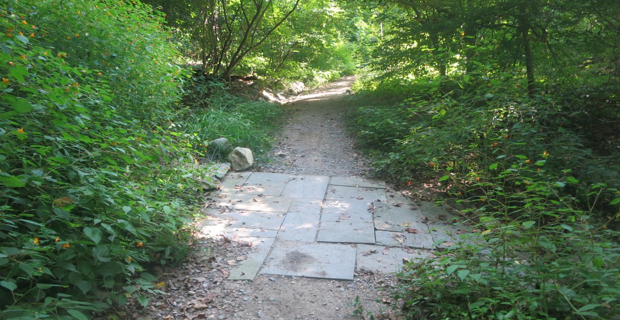 Along the Old Croton Aqueduct Trail - Photo by Daniel Chazin