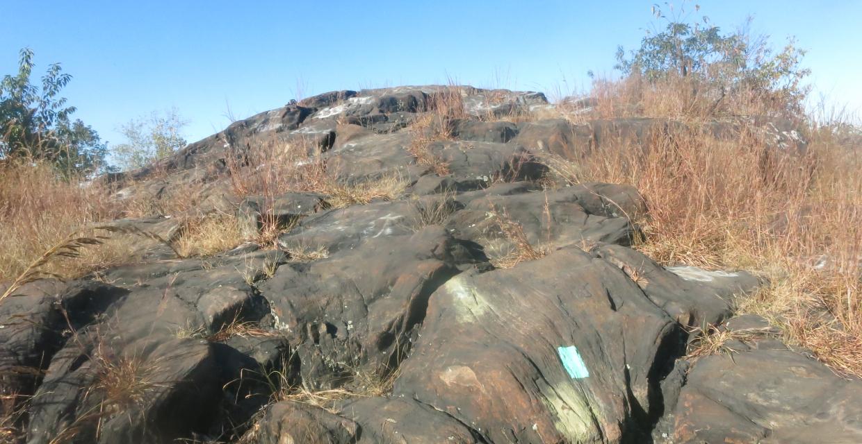 An outcrop of diabase rock just below the summit of High Tor - Photo by Daniel Chazin