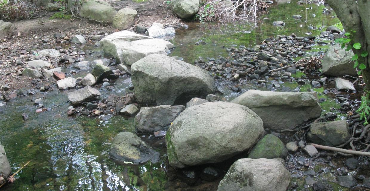 Crossing of Flat Rock Brook on rocks - Photo by Daniel Chazin