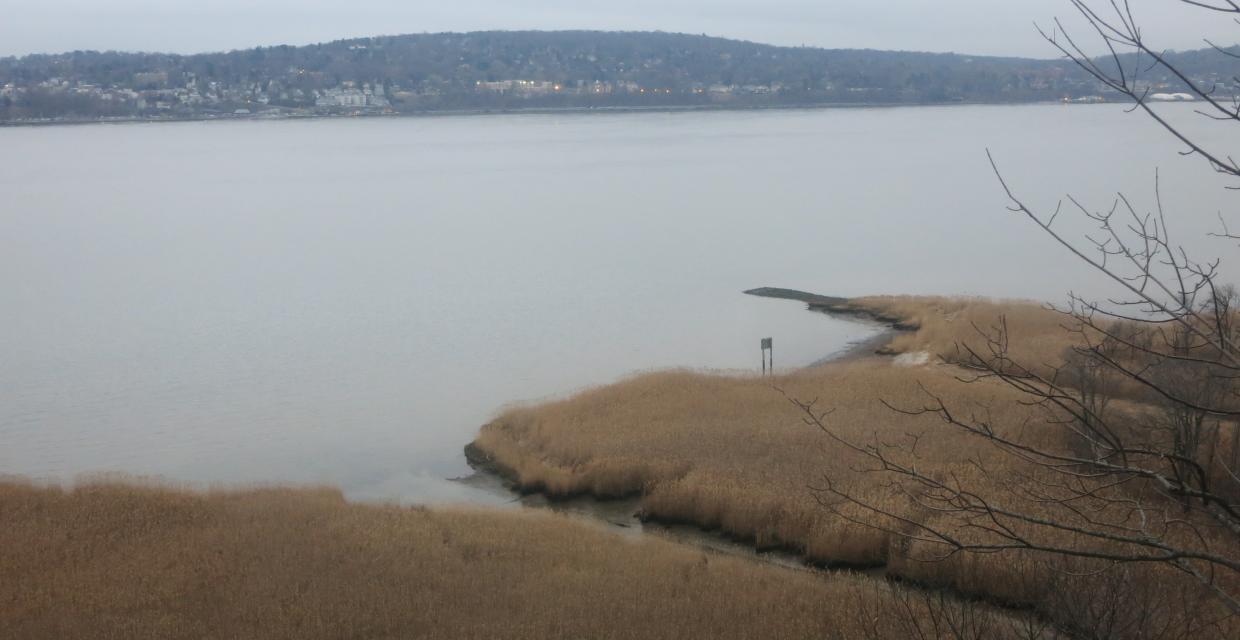 Piermont Marsh and the Hudson River from the unmarked trail in Tallman. Photo by Daniel Chazin.