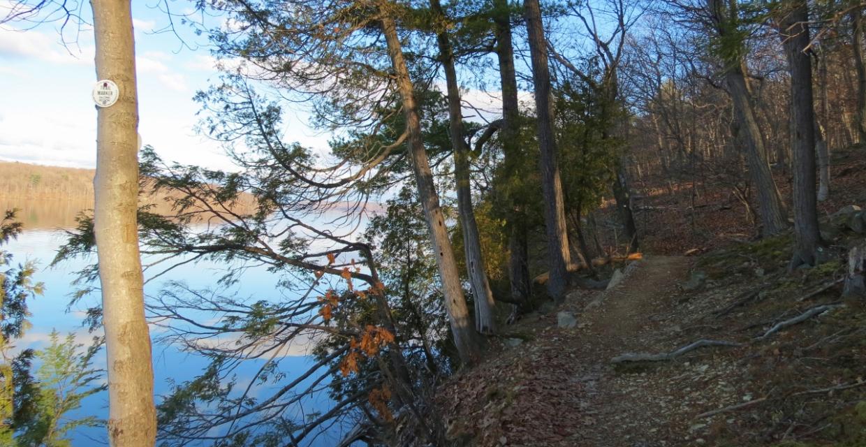 Trail along the Hudson River - Photo credit: Daniela Wagstaff