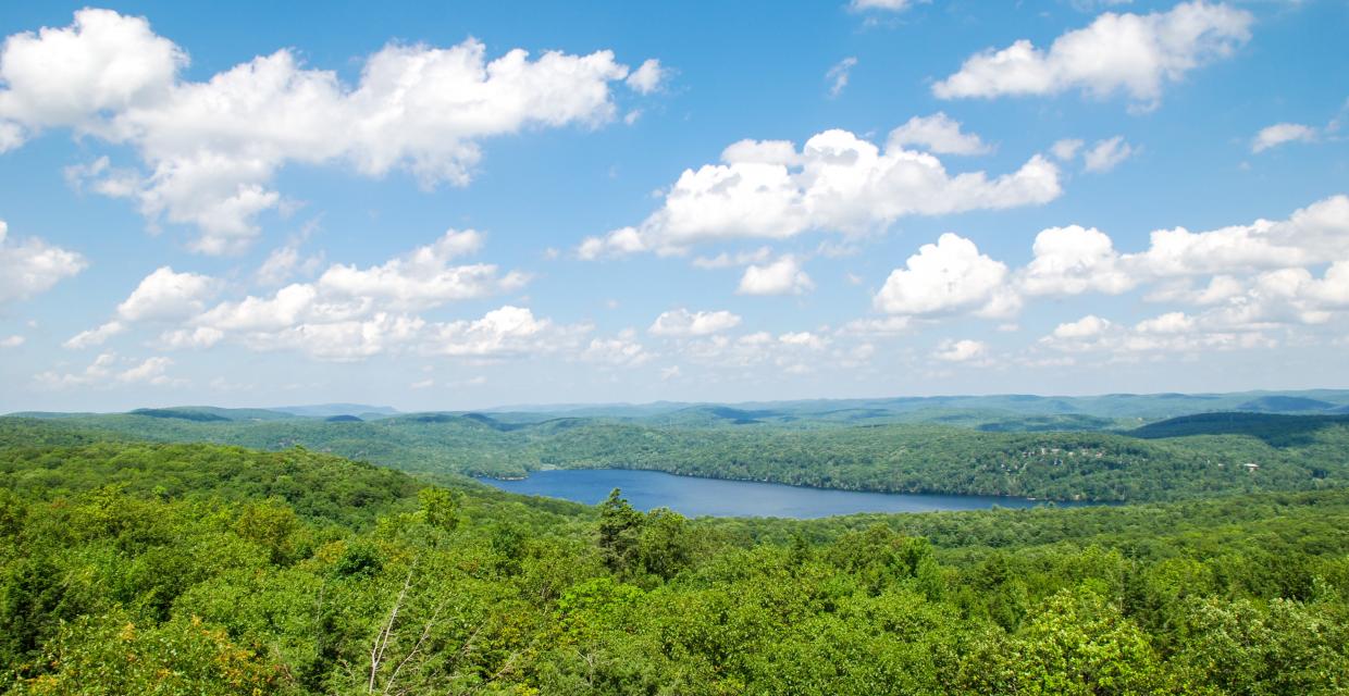 Sterling Forest Fire Tower at Sterling Lake from the Fire Tower - Fire Tower - Photo credit: Jeremy Apgar