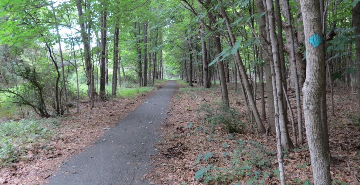 Highlands Trail through Goosepond Mountain State Park - Photo credit: Daniela Wagstaff