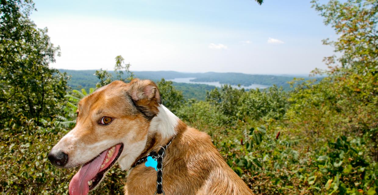 View of Lake Mohawk in Sparta Glen Park - Photo credit: Jeremy Apgar