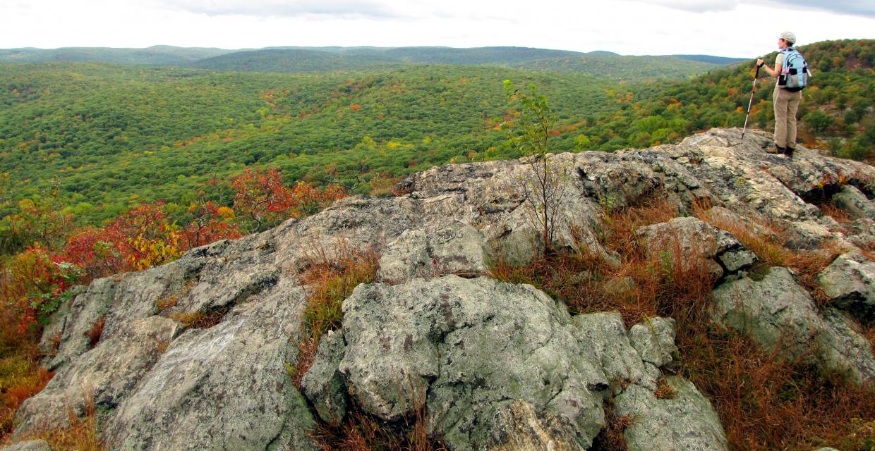 View from The Timp - Harriman-Bear Mountain State Parks  - Photo credit: Dan Balogh