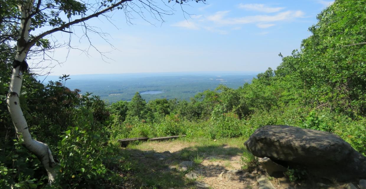 View along the Vista Trail in Big Pocono State Park - Photo credit: Daniela Wagstaff