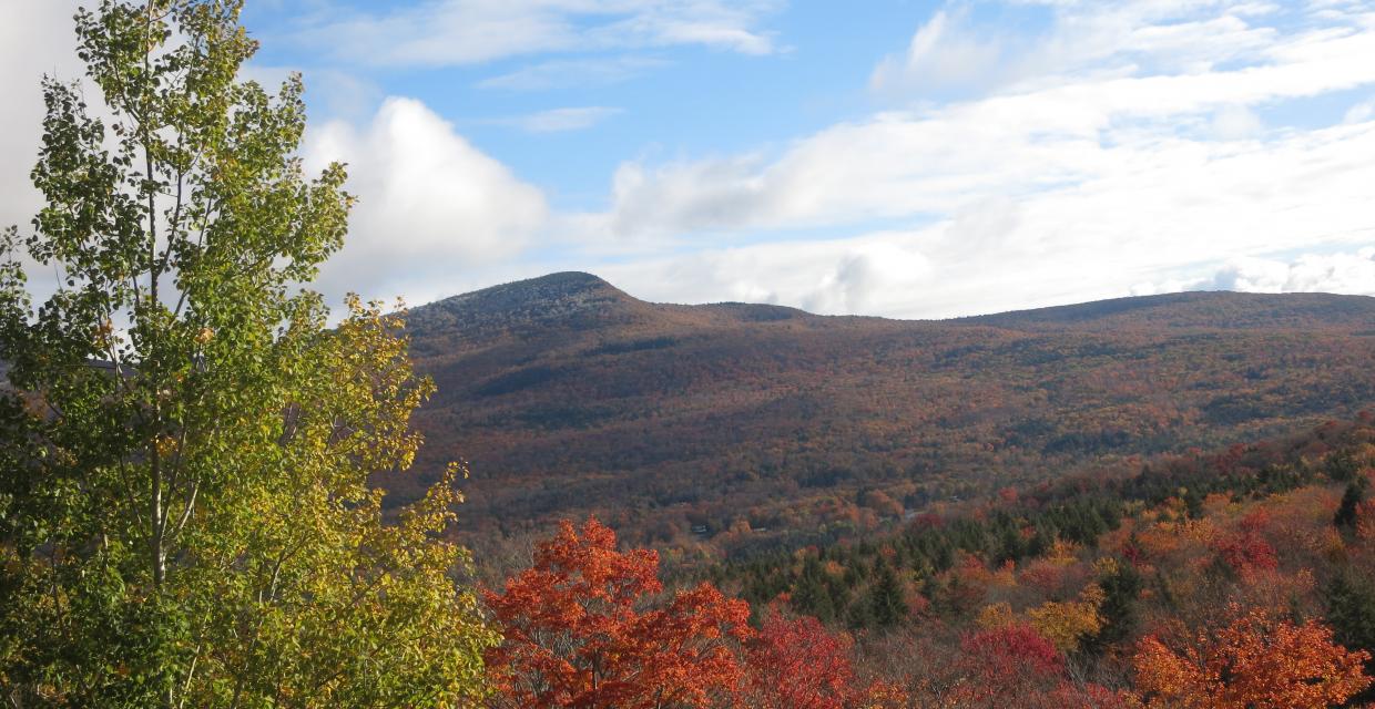 View of Roundtop Mountain from the Pecoy Notch Trail - Indian Head Wilderness Area - Photo credit: Daniel Chazin