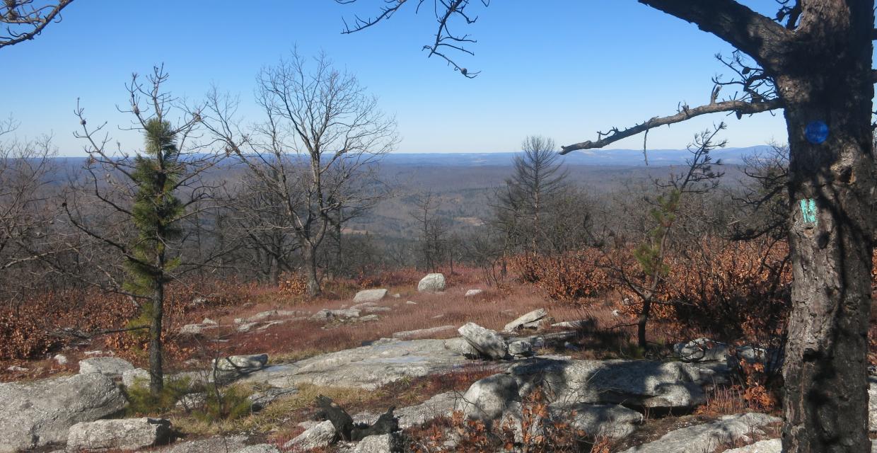 View along the Shawangunk Ridge Trail - Shawangunk Ridge State Forest - Photo credit: Daniel Chazin