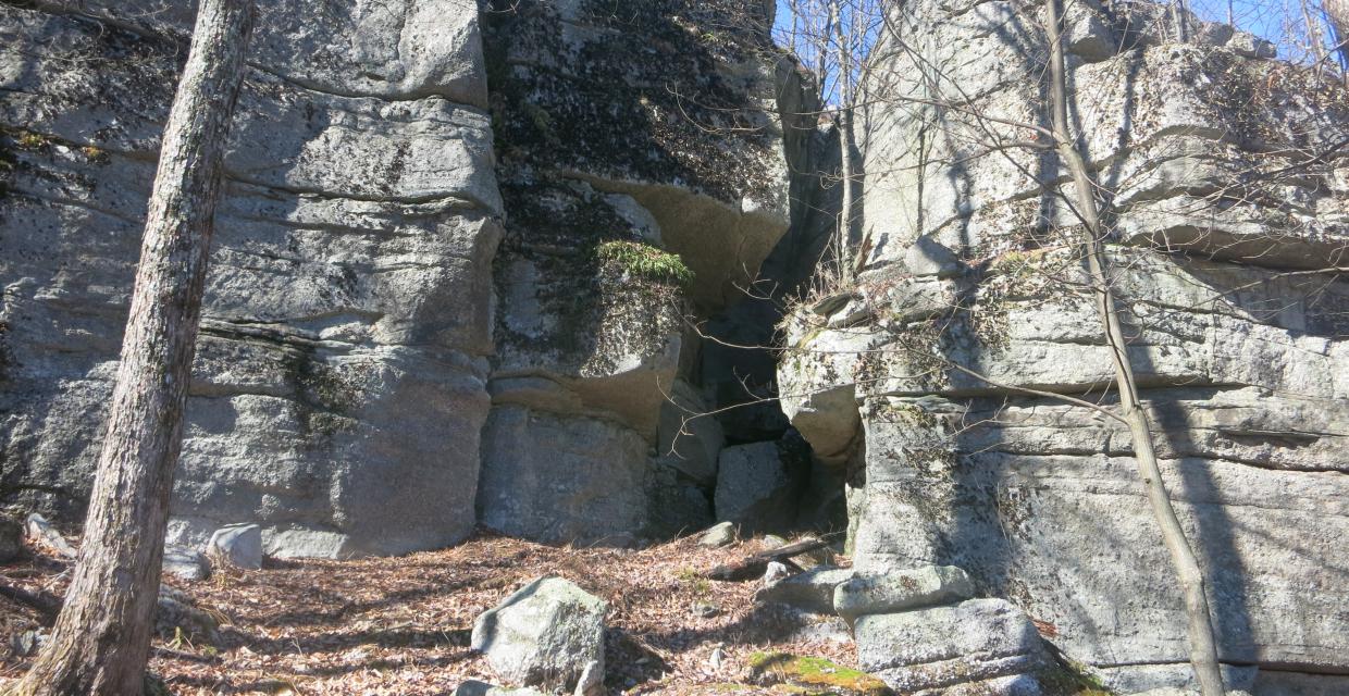 Cliffs adjacent to the Red Trail - Shawangunk Ridge State Forest - Photo credit: Daniel Chazin