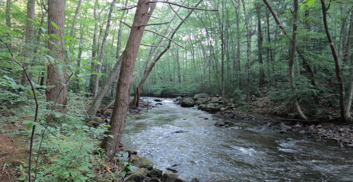 Along the scenic Black River - Photo credit: Daniela Wagstaff