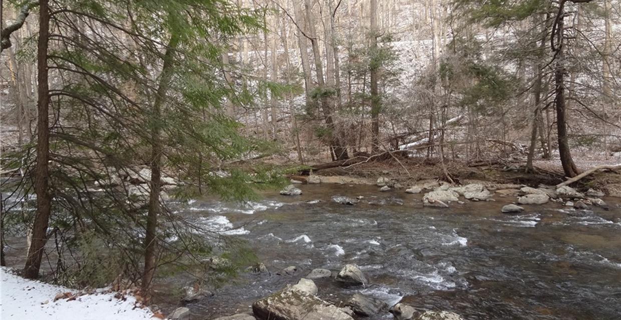 Along the South Branch of the Raritan River - Photo credit: Daniela Wagstaff