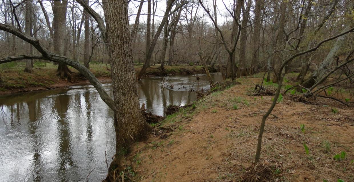 Along the blue and orange trails - Photo credit: Daniela Wagstaff