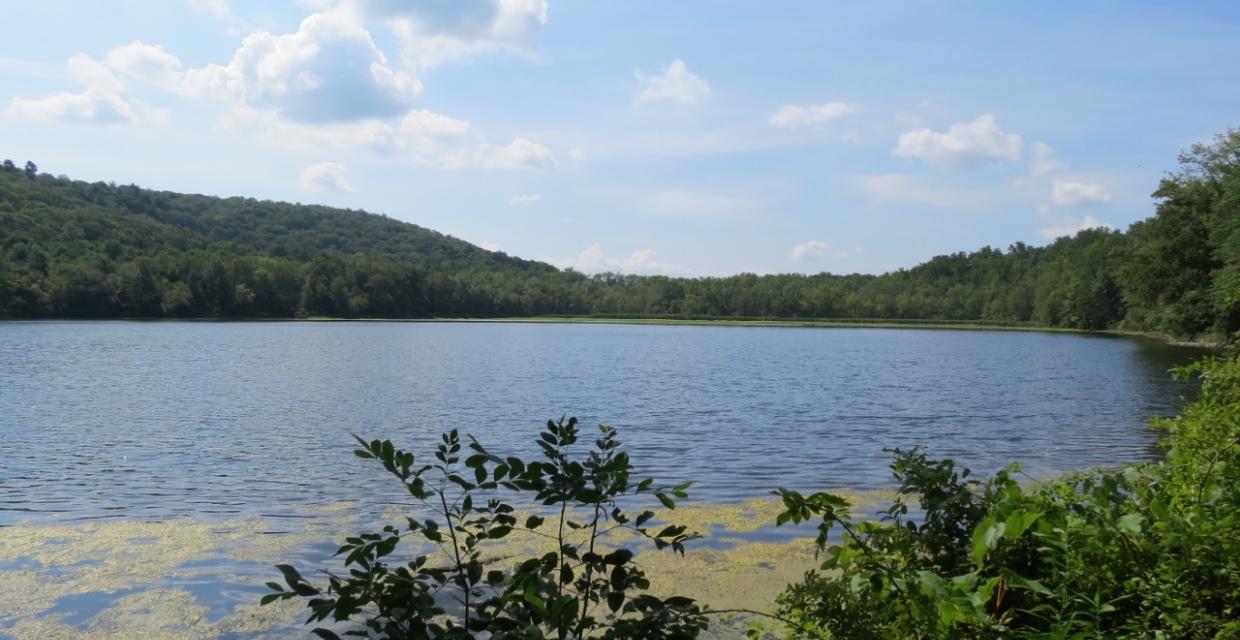 View of Allamuchy Pond - Photo credit: Daniela Wagstaff