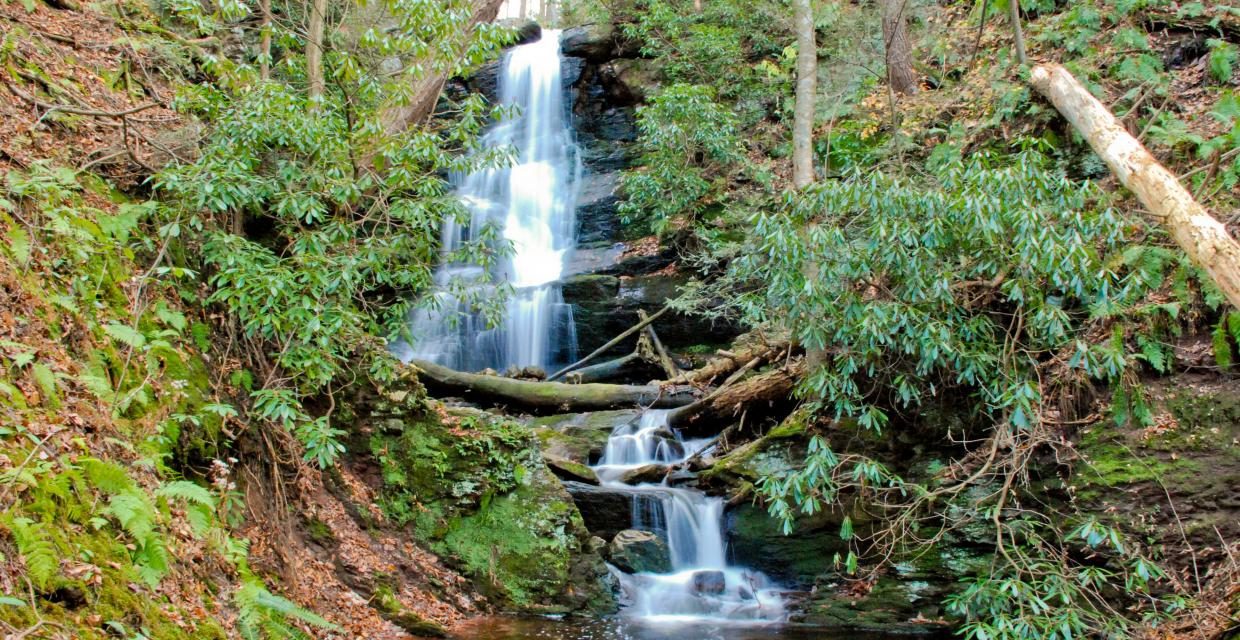 Silver Spray Falls in late Fall - Photo credit: Jeremy Apgar