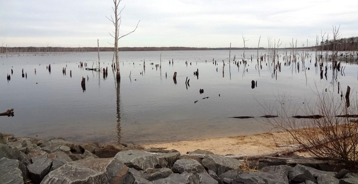 View of Manasquan Reservoir - Photo credit: Daniela Wagstaff