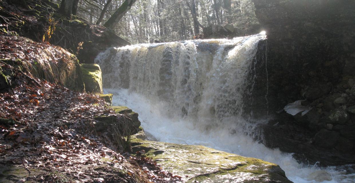 Crum Creek flowing over a breached dam - Photo credit: Daniel Chazin