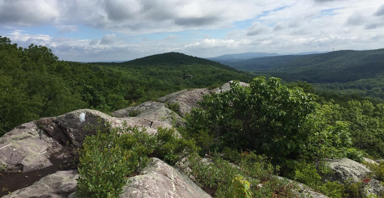 Appalachian Trail near Bellevale, NY - Photo Marie-Pierre Castermans