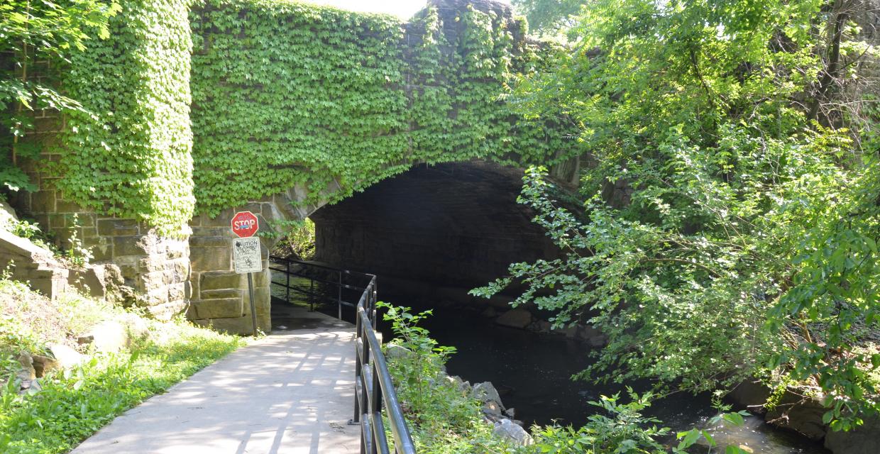 Along the Bronx River Pathway Photo:Jim Simpson