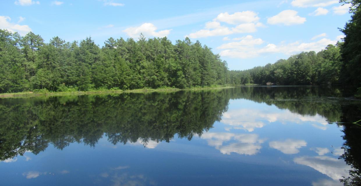 Pakim Pond - Photo by Daniel Chazin