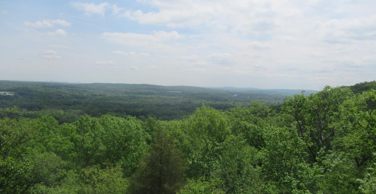 View from the Mountain Trail - Photo by Daniel Chazin